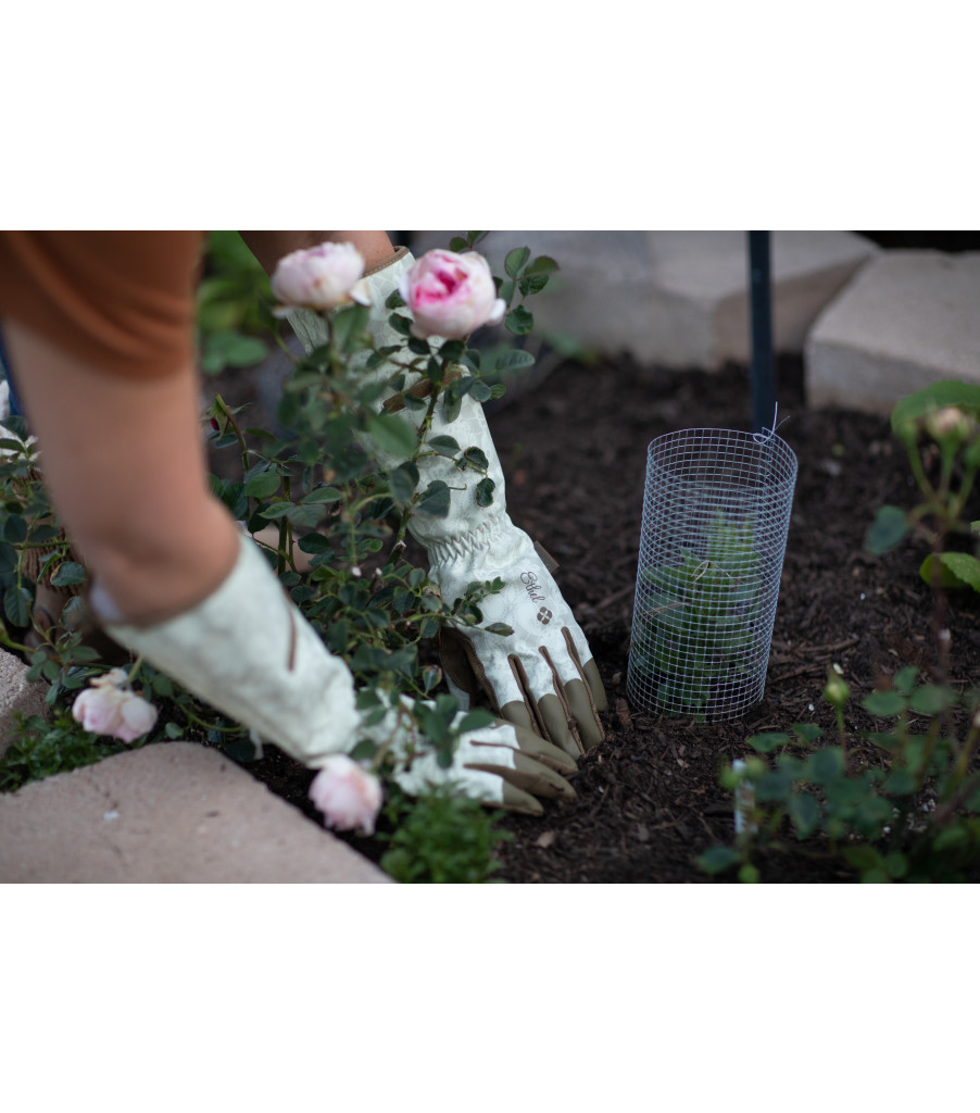 Mechanix Ethel® Garden Rose Rendezvous | SZUO6008